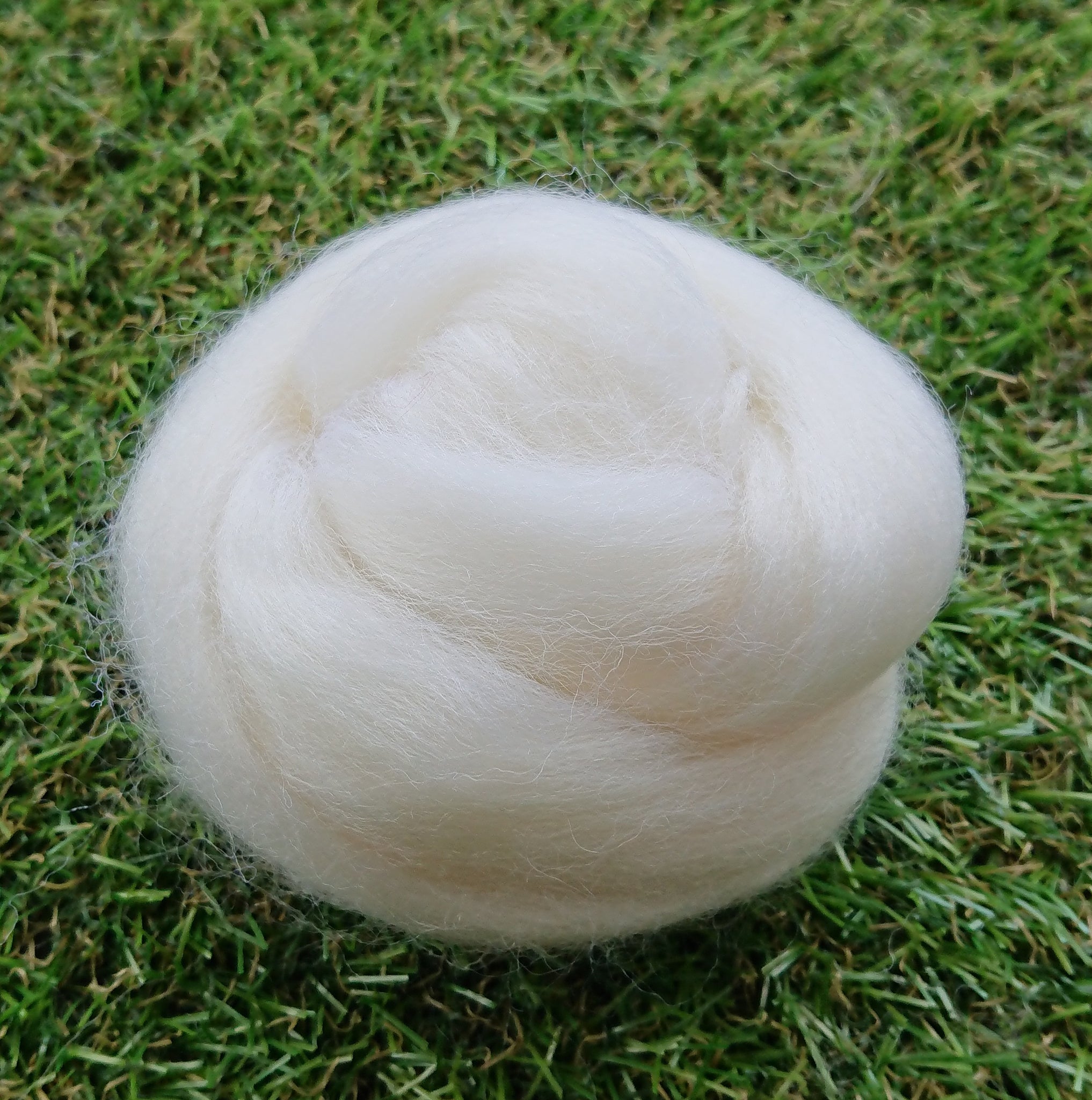 Corriedale Wool Roving - White - A Child's Dream